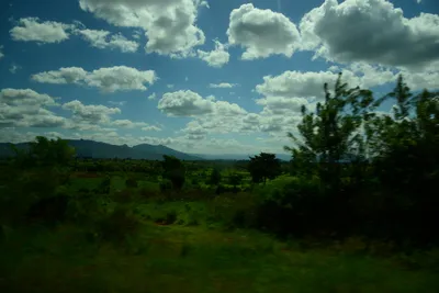 DSC_9674 (Large).JPG